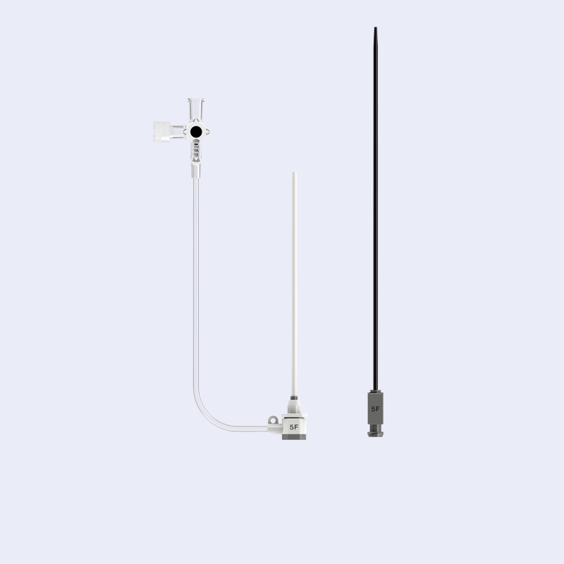 Femoral Introducer Set 5F [Pack of 5]