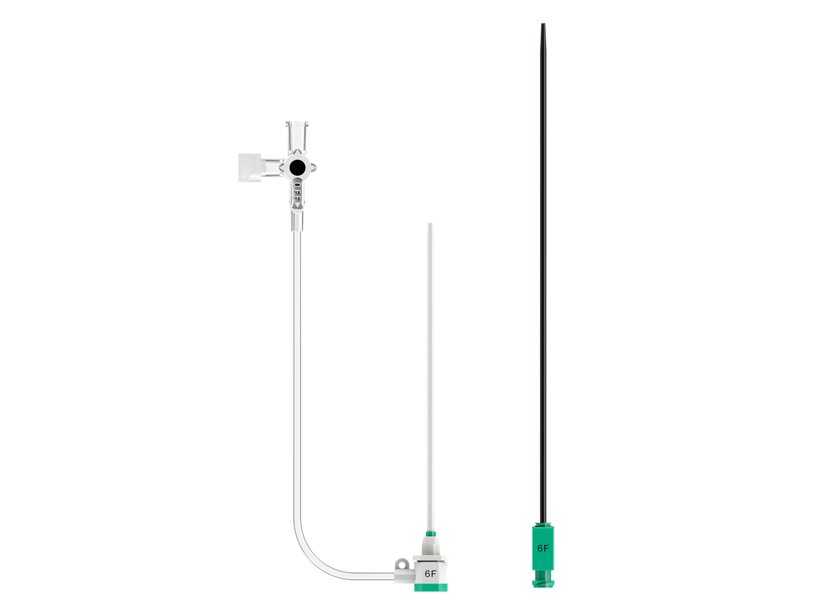 Femoral Introducer Set 6F [Pack of 5]