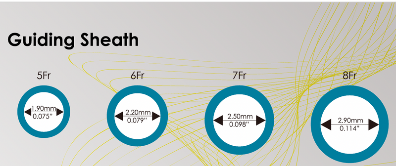 Introducer Set - Guiding Sheath